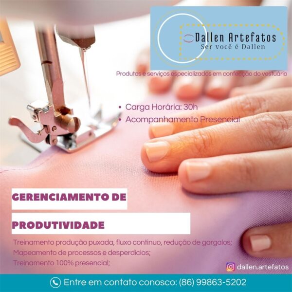 GERENCIAMENTO DE PRRODUTIVIDADE Fabr.